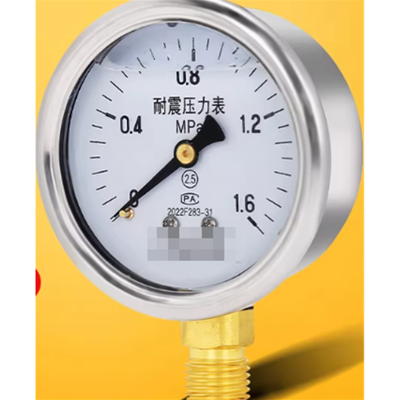 天湖 耐震压力表